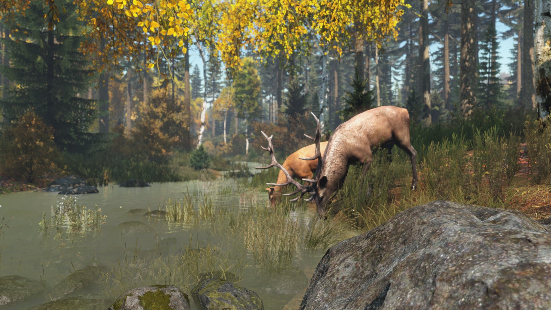 【PC单机】DayZ v1.26单机中文版