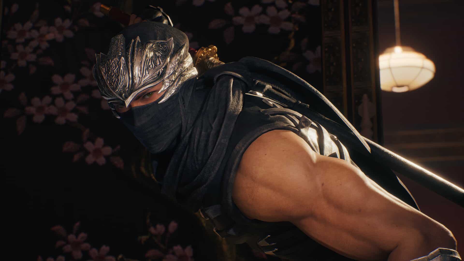 【PC单机】忍者龙剑传2 黑之章(NINJA GAIDEN 2 Black)v1.07免安装中文版
