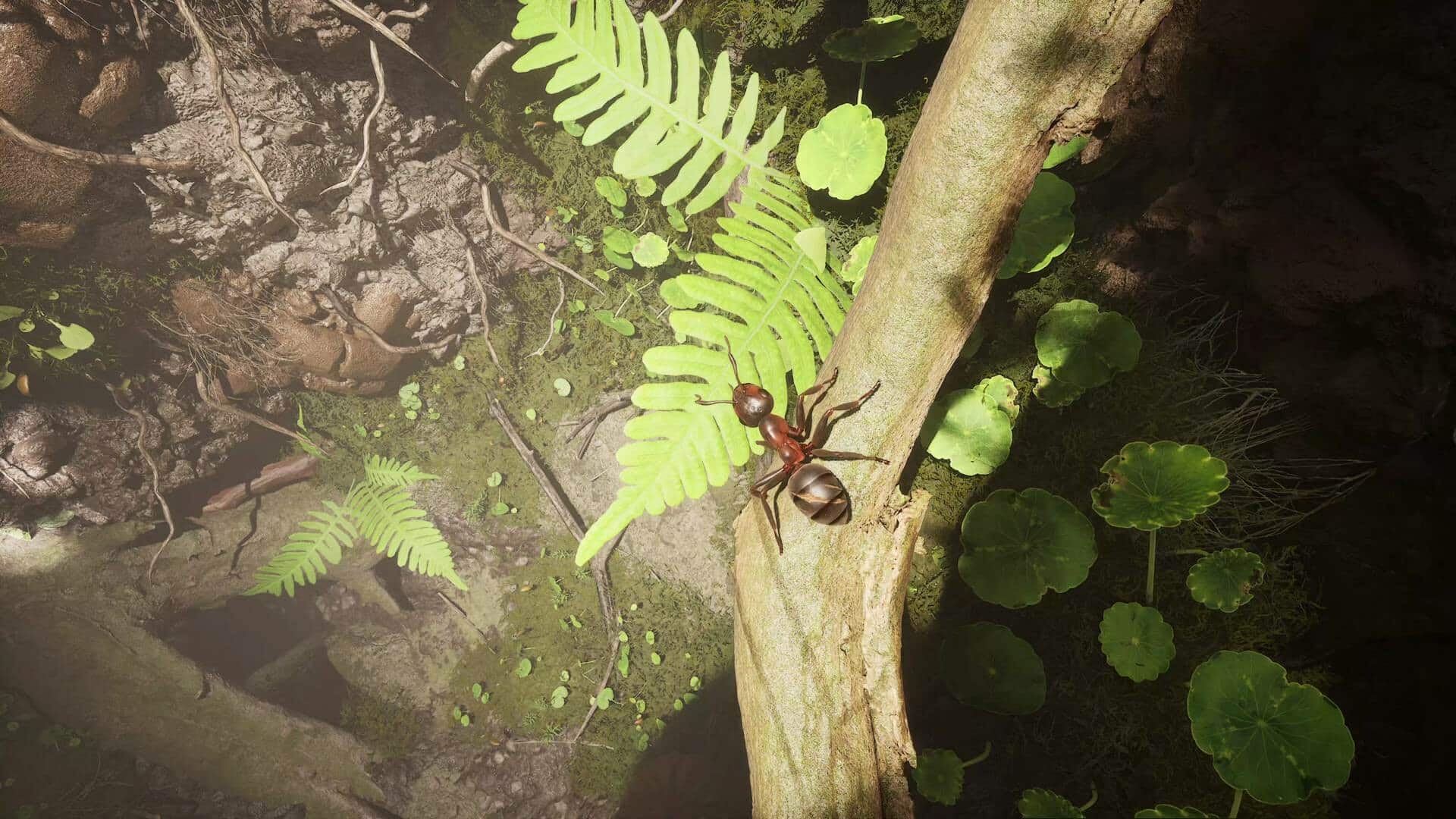【PC单机】蚂蚁帝国(Empire of the Ants)RUNE中文版