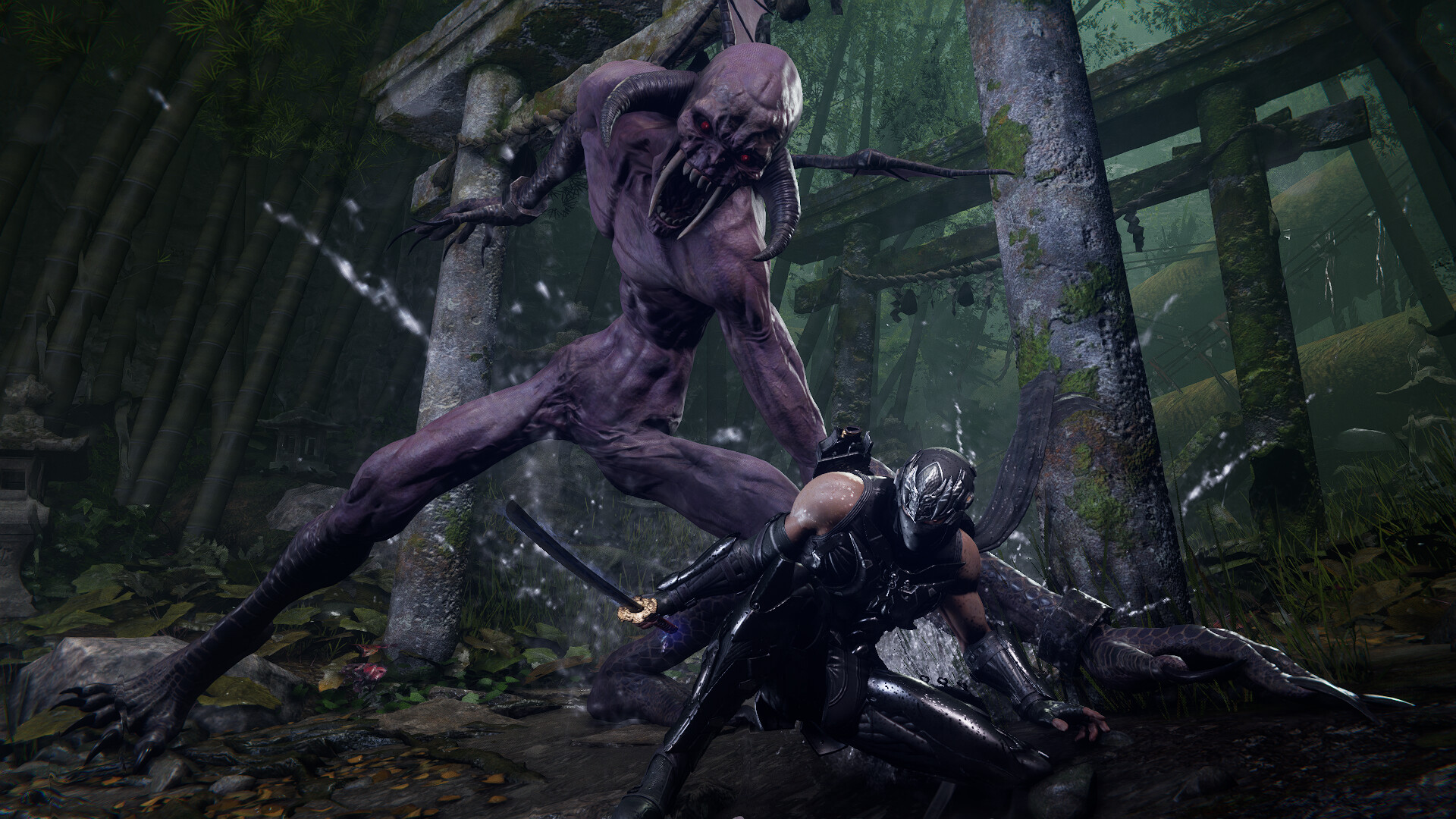 【PC单机】忍者龙剑传4 NINJA GAIDEN 4