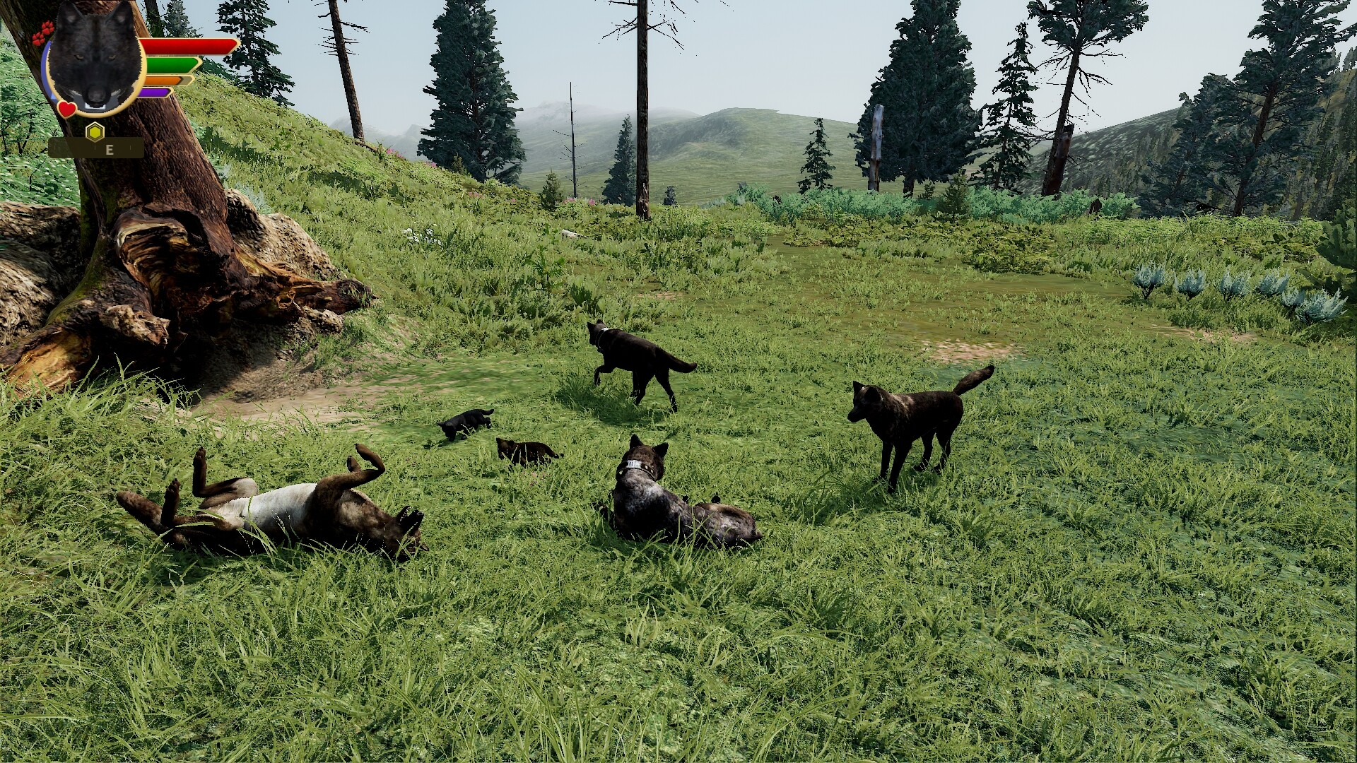 【PC单机】野狼谜踪(WolfQuest)v2.0.2RUNE英文版