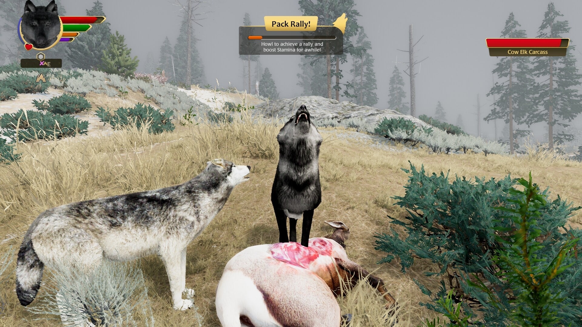 【PC单机】野狼谜踪(WolfQuest)v2.0.2RUNE英文版