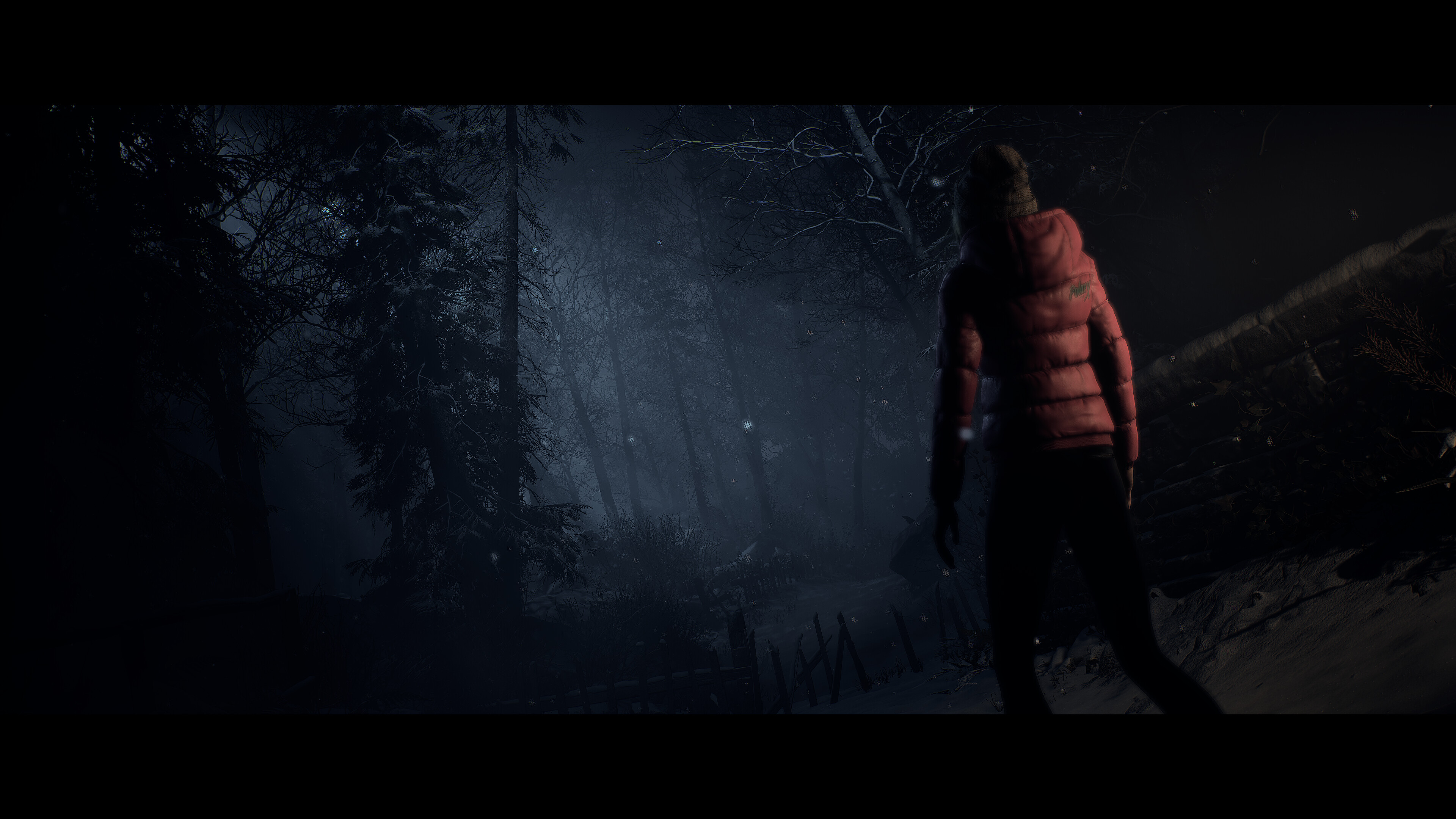 【PC单机】直到黎明(Until Dawn)免安装中文版