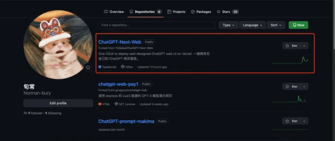 图片[6]-如何在Vercel一键搭建个人的ChatGPT网站？超详细干货！！！-七玩网