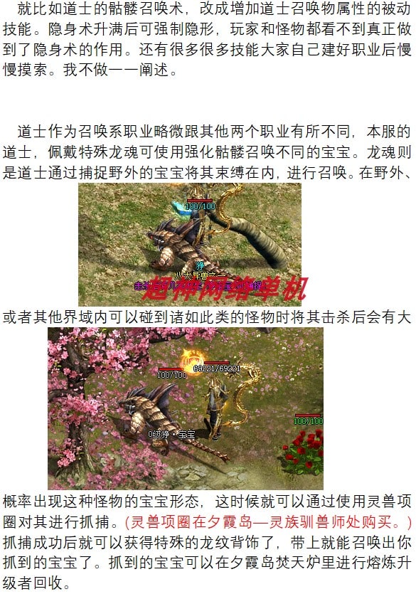[手工架设] 传奇世界PC单机版界域传说RGP剧情符文拾取鉴定特色一键端内置GM