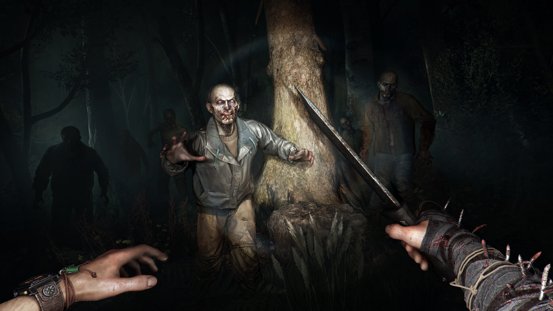 【PC单机】消逝的光芒 困兽（Dying Light The Beast）TENOKE中文版