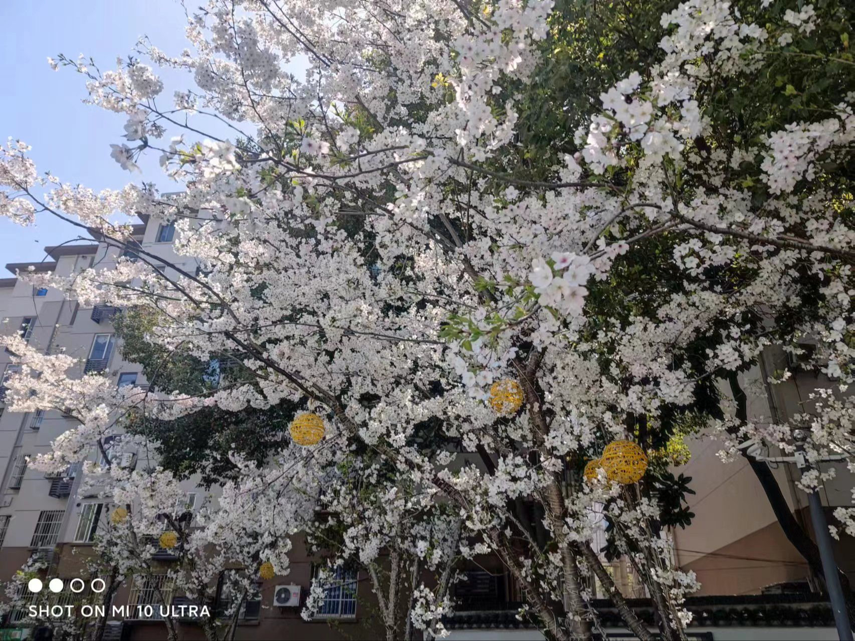 【龙之谷怀旧海龙】首日小号趣操作，技高一筹笑翻全场